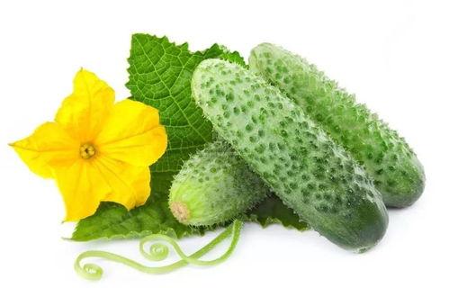 吃瓜系统宋笑笑,揭秘娱乐圈背后的秘密与真相