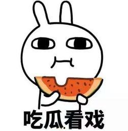 吃瓜佬的视频,一场视觉盛宴背后的故事