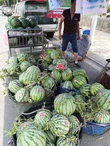 交城最近吃瓜事件