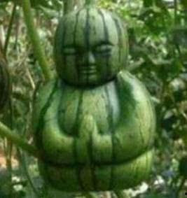 吃瓜讲真,揭秘娱乐圈背后的真相与内幕