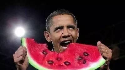 秀儿在线吃瓜,揭秘娱乐圈幕后真相