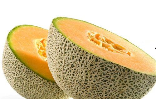 郑州天气预警吃瓜,夏日“吃瓜”避暑攻略